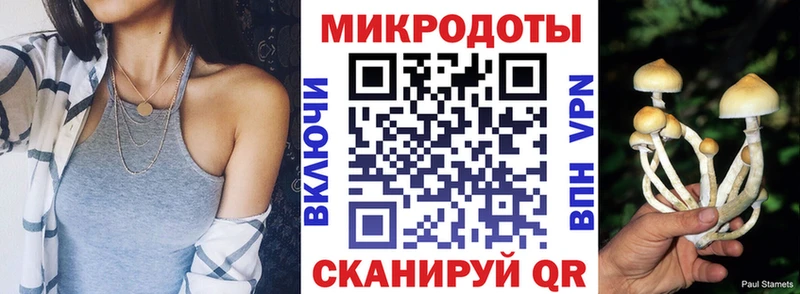 Купить где  Нелидово  Галлюциногенные грибы GOLDEN TEACHER 